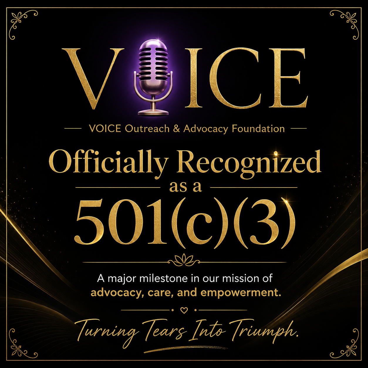VOICE Foundation officially recognized as a 501(c)(3) public charity